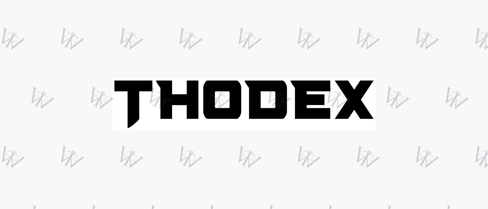 Thodex-Logo