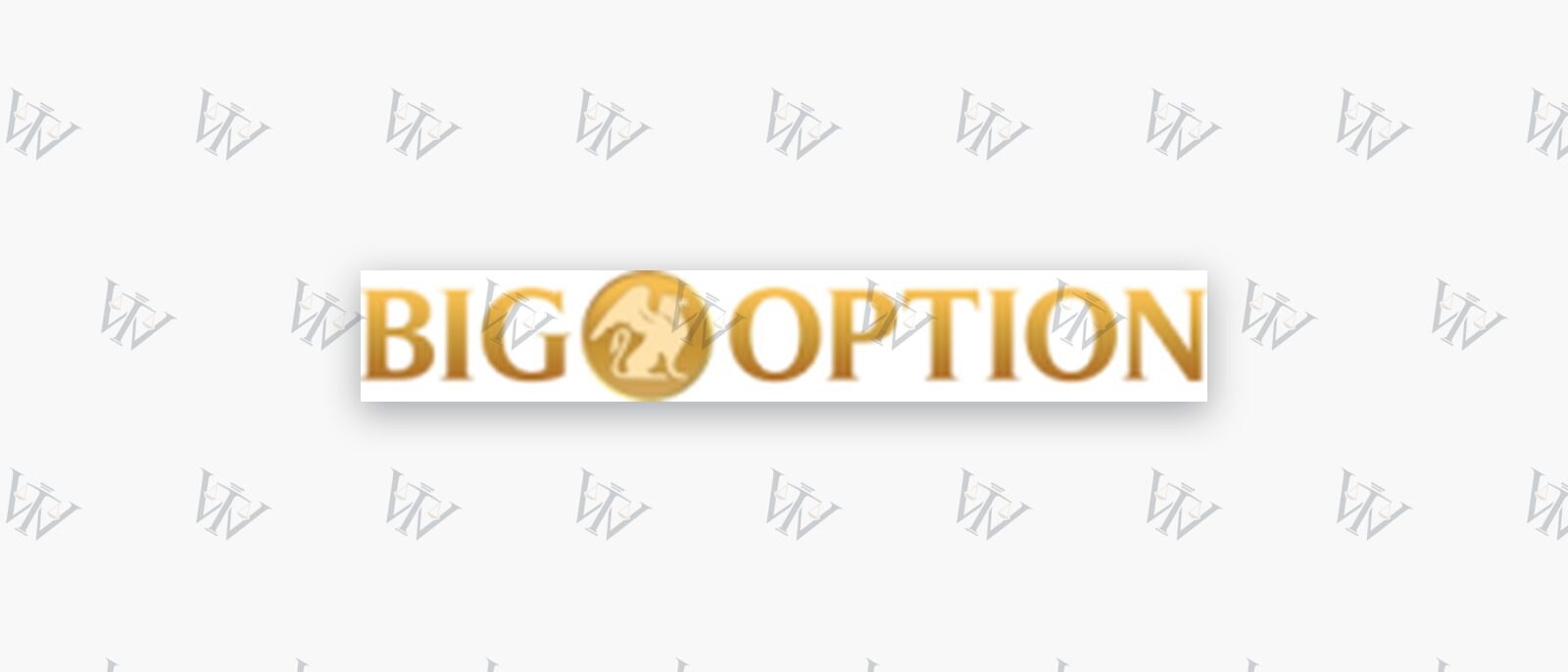 BigOption-Logo